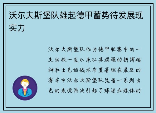 沃尔夫斯堡队雄起德甲蓄势待发展现实力